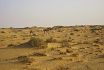The desert near Jaisalmer, Rajasthan.